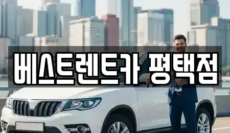 경기 평택시 평택동 장기렌트카 전문 베스트렌트카 평택점