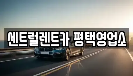 경기 평택시 평택동 장기렌트카 전문 센트럴렌트카 평택영업소
