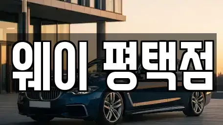 경기 평택시 평택동 장기렌트카 전문 웨이 평택점