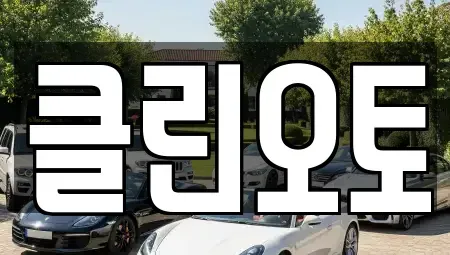 경기 평택시 평택동 중고차 전문 클린오토