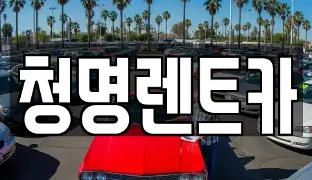 경기 화성시 기산동 단기렌트카 전문 청명렌트카