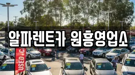 경기도 고양시 덕양구 도내동 렌트카 전문 알파렌트카 원흥영업소