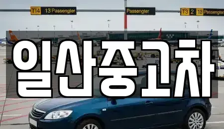 경기도 고양시 덕양구 도내동 중고차 전문 일산중고차