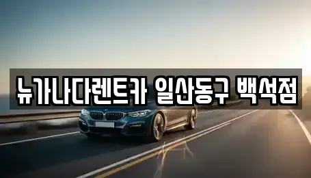 경기도 고양시 덕양구 신평동 렌트카 전문 뉴가나다렌트카 일산동구 백석점