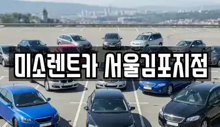 경기도 고양시 덕양구 신평동 렌트카 전문 미소렌트카 서울김포지점