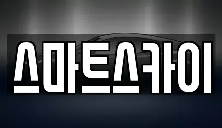 경기도 고양시 덕양구 신평동 렌트카 전문 스마트스카이