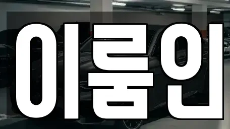 경기도 고양시 덕양구 신평동 장기렌트카 전문 이룸인