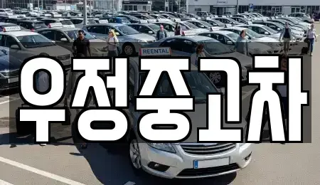 경기도 고양시 덕양구 신평동 중고차 전문 우정중고차