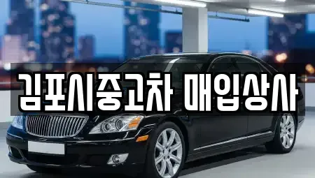 경기도 고양시 덕양구 신평동 중고차매입 전문 김포시중고차 매입상사