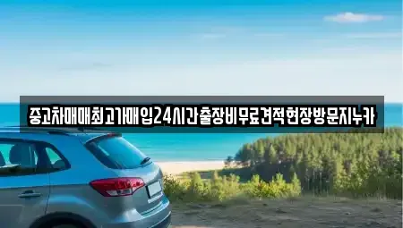 경기도 고양시 덕양구 지축동 중고차매입 전문 중고차매매최고가매입24시간출장비무료견적현장방문지누카