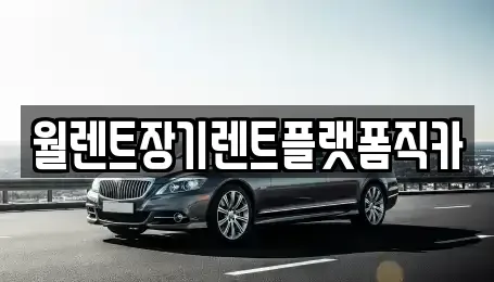 경기도 고양시 일산동구 지영동 장기렌트카,중고차,렌트카,단기렌트카,중고차매입,중고차매매