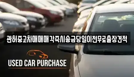 경기도 고양시 일산동구 지영동 중고차 전문 관허중고차매매매각즉시송금당일이전무료출장견적