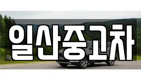 경기도 고양시 일산동구 지영동 중고차 전문 일산중고차