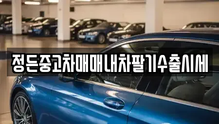 경기도 고양시 일산동구 지영동 중고차 전문 정든중고차매매내차팔기수출시세