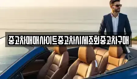 경기도 고양시 일산동구 지영동 중고차 전문 중고차매매사이트중고차시세조회중고차구매