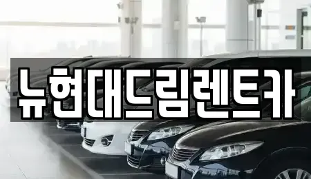 경기도 과천시 문원동 렌트카 전문 뉴현대드림렌트카