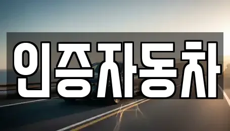 경기도 과천시 문원동 중고차매매 전문 인증자동차