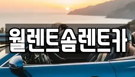 경기도 과천시 중앙동 렌트카,단기렌트카,장기렌트카,중고차,중고차매매,중고차매입