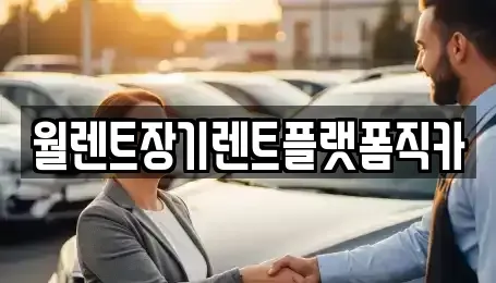 경기도 과천시 중앙동 장기렌트카 전문 월렌트장기렌트플랫폼직카