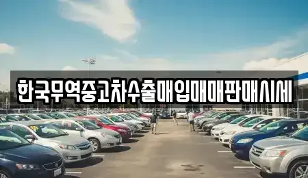 경기도 과천시 중앙동 중고차 전문 한국무역중고차수출매입매매판매시세