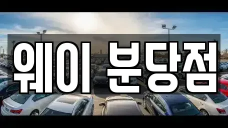 경기도 광주시 신현동 단기렌트카 전문 웨이 분당점