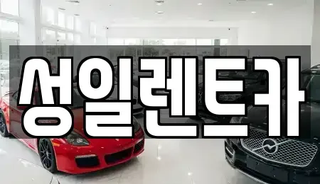 경기도 광주시 신현동 렌트카 전문 성일렌트카