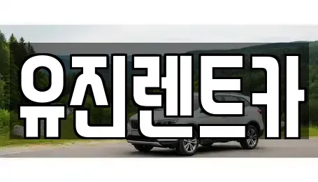 경기도 광주시 신현동 렌트카 전문 유진렌트카