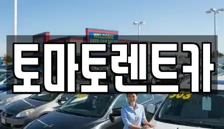 경기도 광주시 신현동 렌트카 전문 토마토렌트카