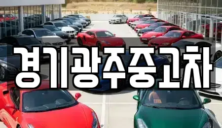 경기도 광주시 신현동 중고차매매 전문 경기광주중고차
