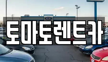 경기도 광주시 태전동 렌트카,단기렌트카,장기렌트카,중고차,중고차매매,중고차매입