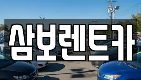 경기도 구리시 인창동 렌트카 전문 삼보렌트카