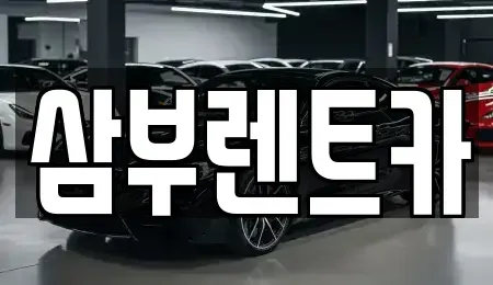 경기도 구리시 인창동 렌트카 전문 삼부렌트카