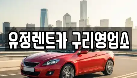 경기도 구리시 인창동 렌트카 전문 유정렌트카 구리영업소