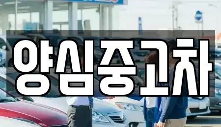 경기도 남양주시 퇴계원읍 중고차매매 전문 양심중고차