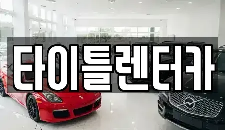 경기도 성남시 분당구 동원동 단기렌트카 전문 타이틀렌터카