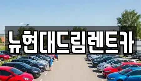 경기도 성남시 분당구 동원동 렌트카 전문 뉴현대드림렌트카