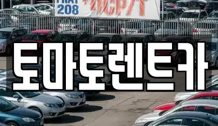 경기도 성남시 분당구 동원동 렌트카,단기렌트카,장기렌트카,중고차,중고차매매,중고차매입