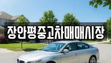 경기도 성남시 분당구 동원동 중고차 전문 장안평중고차매매시장