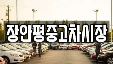 경기도 성남시 분당구 동원동 중고차 전문 장안평중고차시장