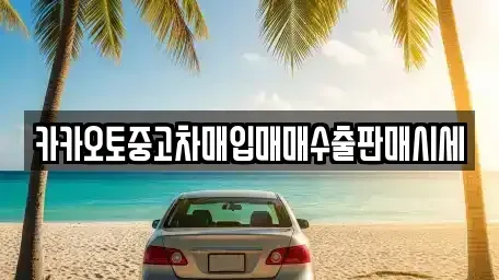 경기도 성남시 분당구 동원동 중고차 전문 카카오토중고차매입매매수출판매시세