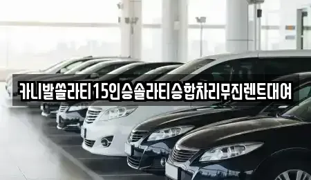 경기도 성남시 분당구 판교동 렌트카 전문 카니발쏠라티15인승솔라티승합차리무진렌트대여