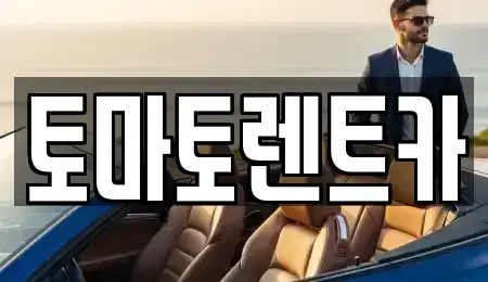 경기도 성남시 분당구 판교동 렌트카 전문 토마토렌트카