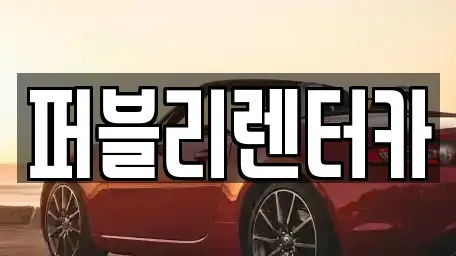 경기도 성남시 분당구 판교동 렌트카 전문 퍼블리렌터카
