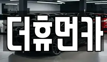 경기도 성남시 분당구 판교동 장기렌트카 전문 더휴먼카