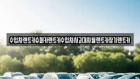 경기도 성남시 분당구 판교동 장기렌트카 전문 수입차렌트카슈퍼카렌트카수입차사고대차월렌트카장기렌트카