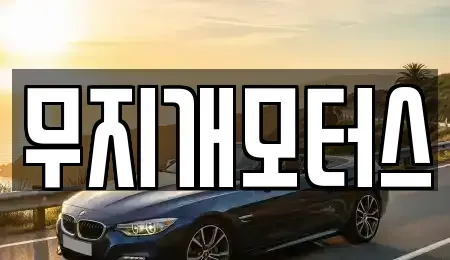 경기도 성남시 분당구 판교동 중고차,렌트카,중고차매입,중고차매매,장기렌트카,단기렌트카