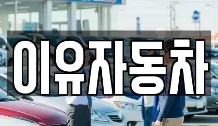 경기도 성남시 분당구 판교동 중고차 전문 이유자동차