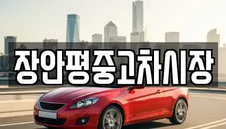 경기도 성남시 분당구 판교동 중고차 전문 장안평중고차시장