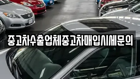 경기도 성남시 분당구 판교동 중고차 전문 중고차수출업체중고차매입시세문의