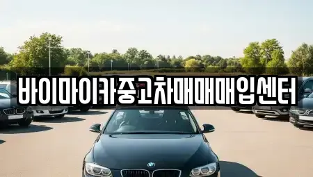 경기도 성남시 분당구 판교동 중고차매입 전문 바이마이카중고차매매매입센터